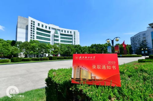 2019级萌新们,武汉轻工大学录取通知书新鲜出炉