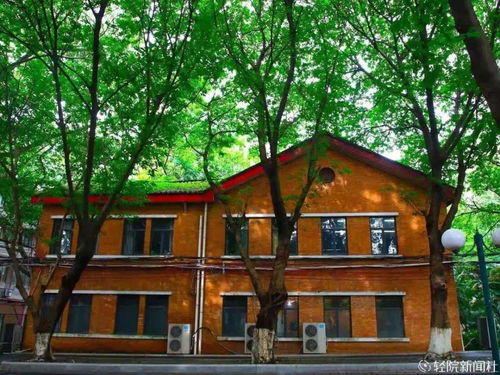 广东轻工职业技术学院,始于1933年,高职高考大热门院校