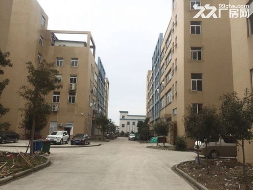 东西湖爱迪克斯工业园870平米全新标准厂房二楼出租仅剩一套