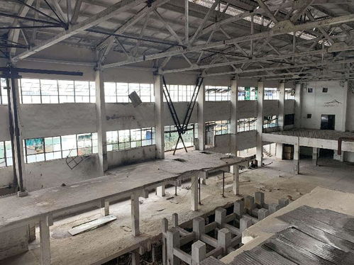 北碚玻璃器皿厂的遗憾沉浮与重庆轻工“五朵金花”的多元轨迹