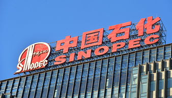 A股77家公司上半年获政府补贴过亿，中国石化成“补贴王”