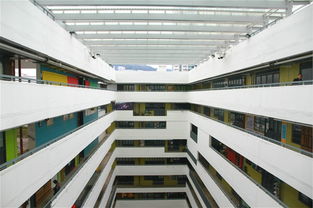 多元艺术 点亮香港人文情怀——轻工之美的交融与新生