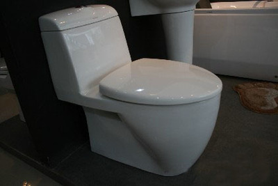 陶瓷卫生洁具八见解 多功能、富于表现力与生命力