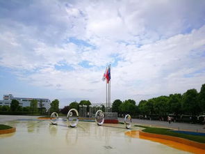 安琪发酵营养元 引领轻工行业健康新趋势