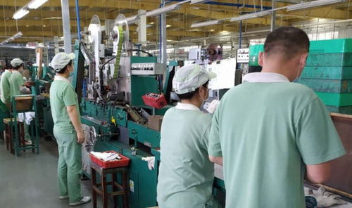 广州轻工集团 以创新驱动高质量发展，谱写轻工业新篇章