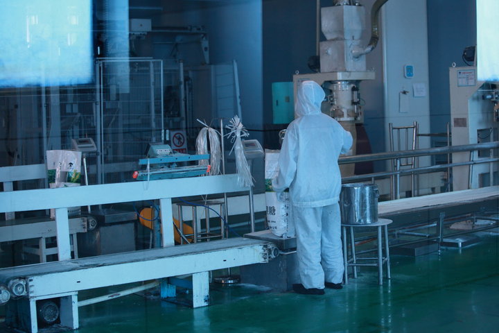 光影诗行 穆志忠镜头下的明湖水杉与轻工印象