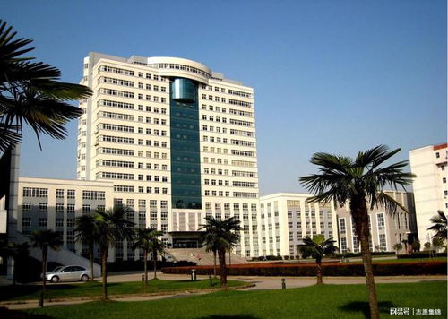 武汉轻工大学 硬实力方显真本事，轻工领域铸就特色一流